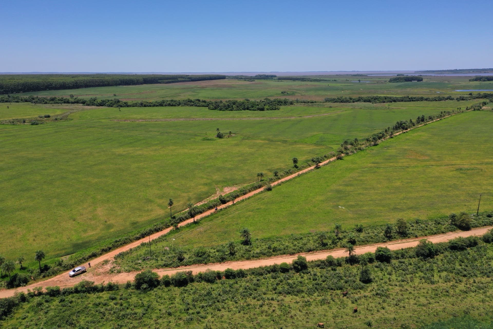 Relevamiento de Campos